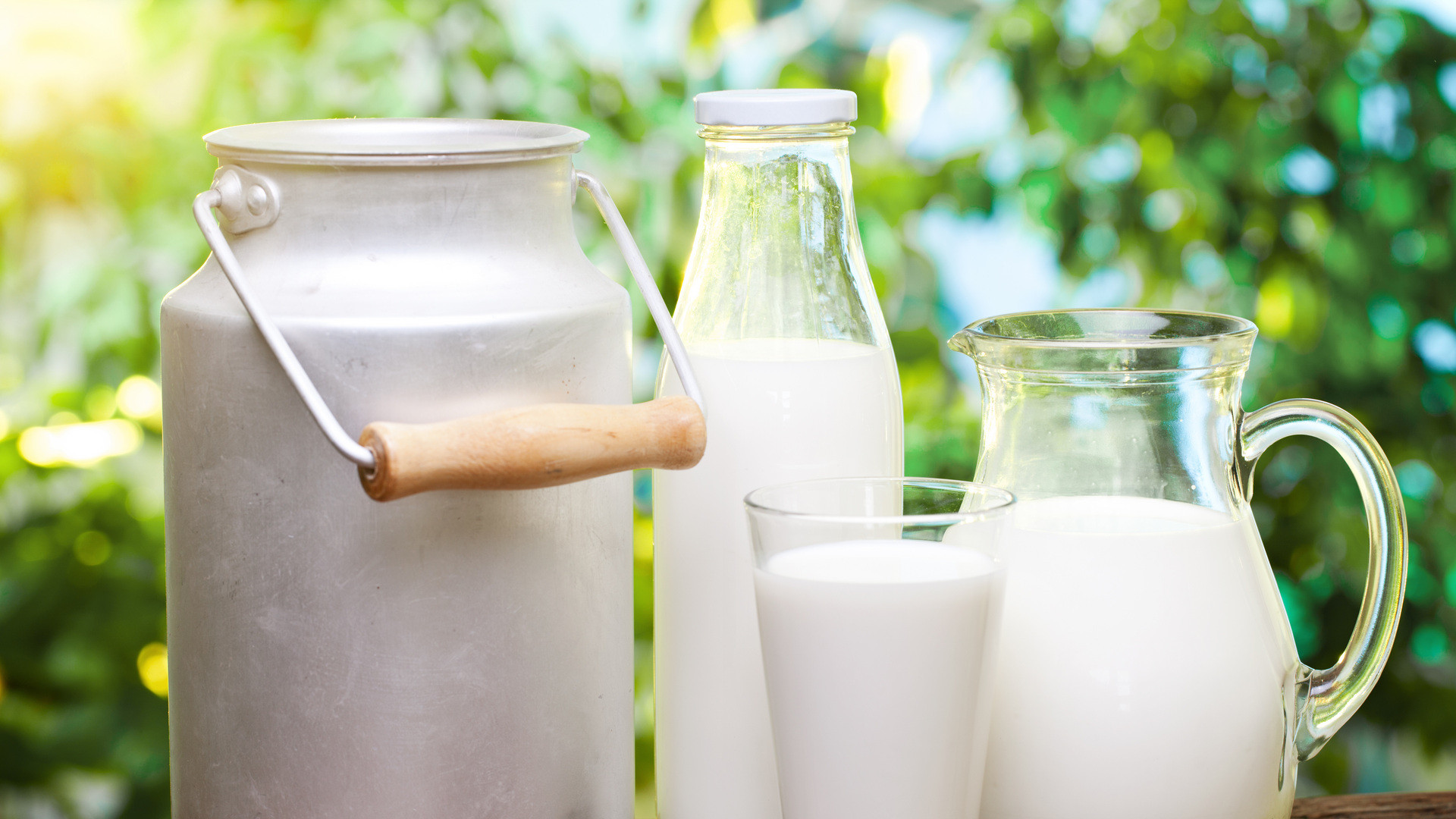 unprocessed-cow-s-milk-found-to-prevent-asthma-and-allergies-in