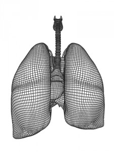 3d lung