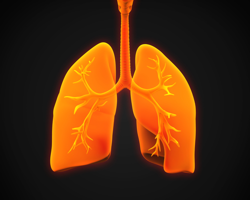 Drug To Treat Alpha-1 Antitrypsis Deficiency Associated With COPD, Panacinar Emphysema Fails Key Trial