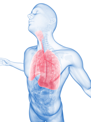 New Breathalyzer Can Detect Lung Cancer Through the Breath