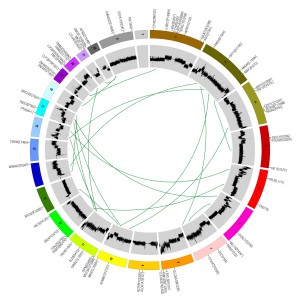 Cancer Genome Atlas