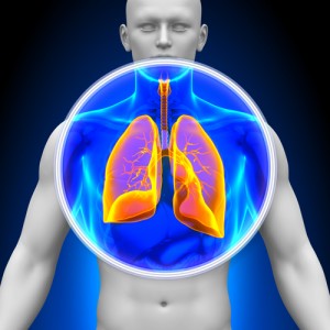  Mucus Strands May Trap Particles in the Lungs of Cystic 