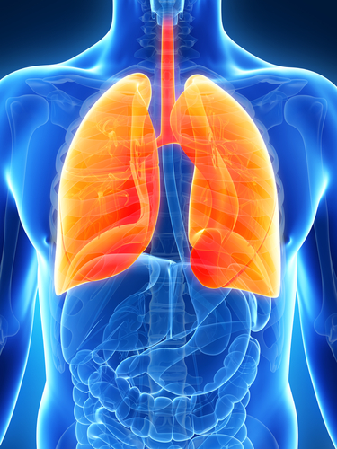 PH and lung cancer similarity
