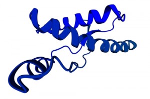 protein misfolding and CF