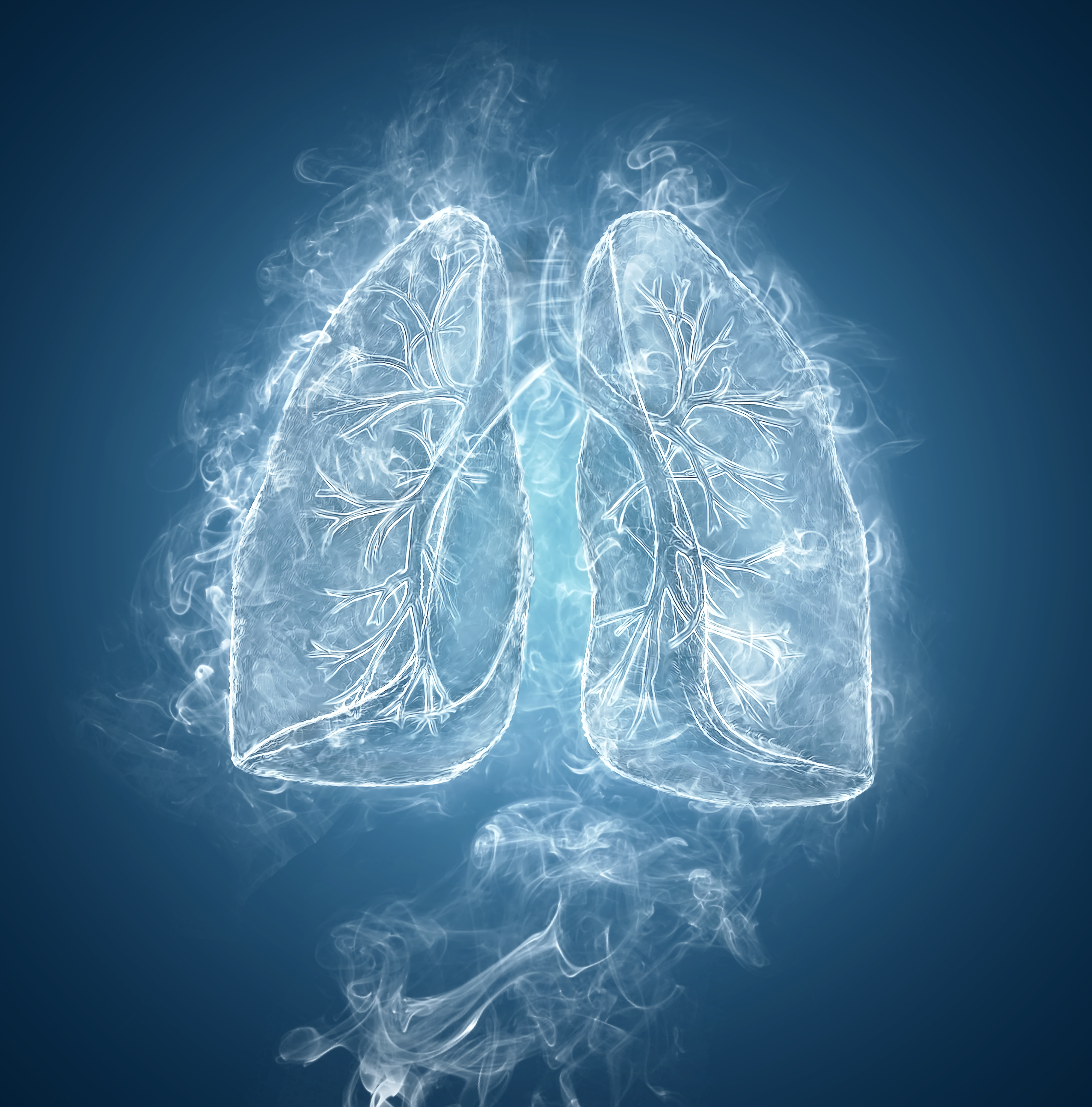 Researchers Take Bold Steps Toward Engineering New Lungs For Translplant