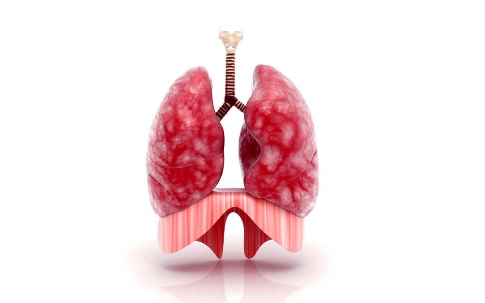 Pediatric Lung Transplants May Increase With Change in Rules