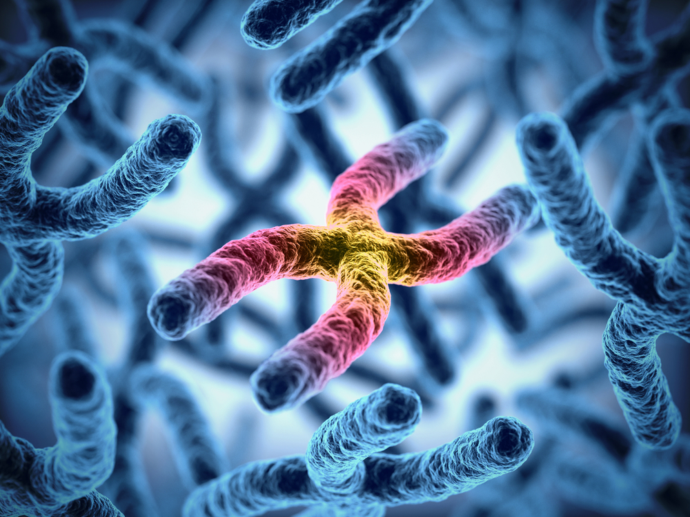 Increases in Telomere Length Associated With Double Risk for Lung Cancer