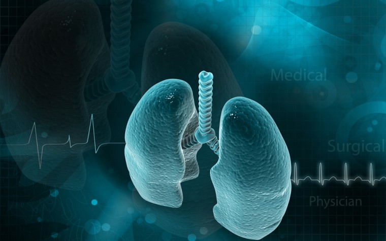 lab-grown human lungs