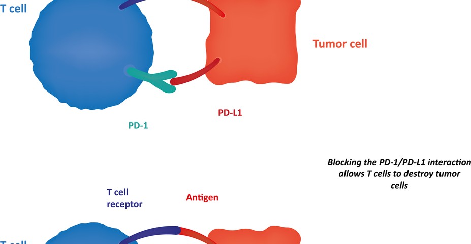 PD-L1 Protein Expression Needs Further Assays to Become a Biomarker for NSCLC