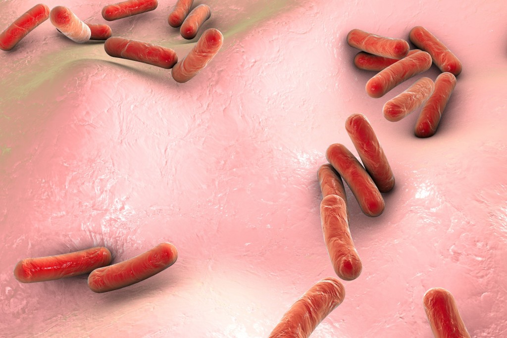 fda-approves-ind-application-for-multidrug-resistant-bacterial