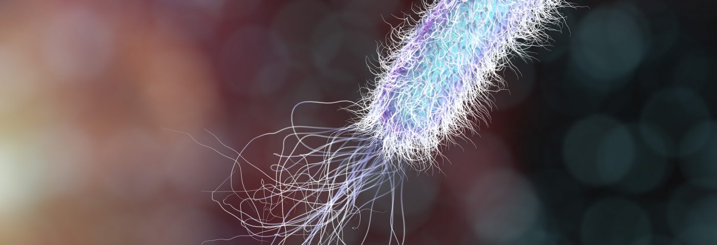 P. aeruginosa Infections in CF Patients Aggravated by Workings of ‘Good’ Bacteria, Study Finds
