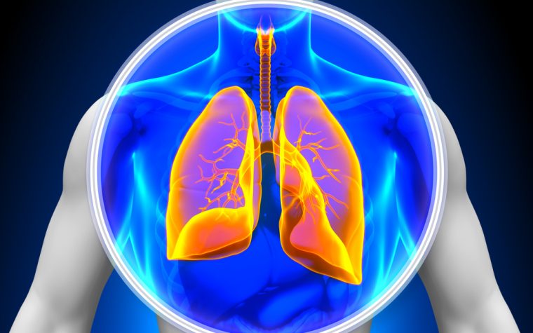 MRG-201 and pulmonary fibrosis