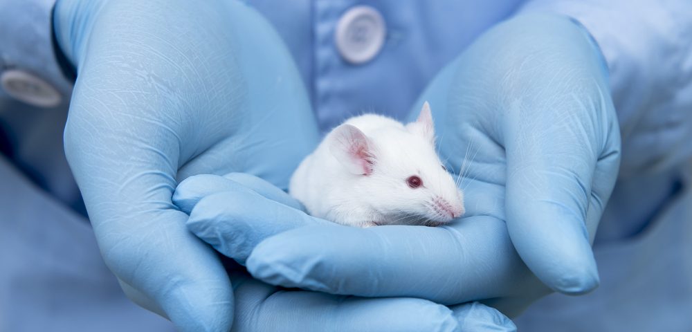 Bacteria-derived Factor R1R2 Has Potential as Antifibrotic Medication, Mouse Study Suggests