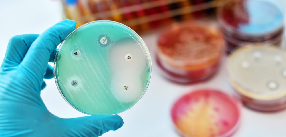 Vibativ Displays More Punch Against Bacteria Than Other Antibiotics, Studies Show